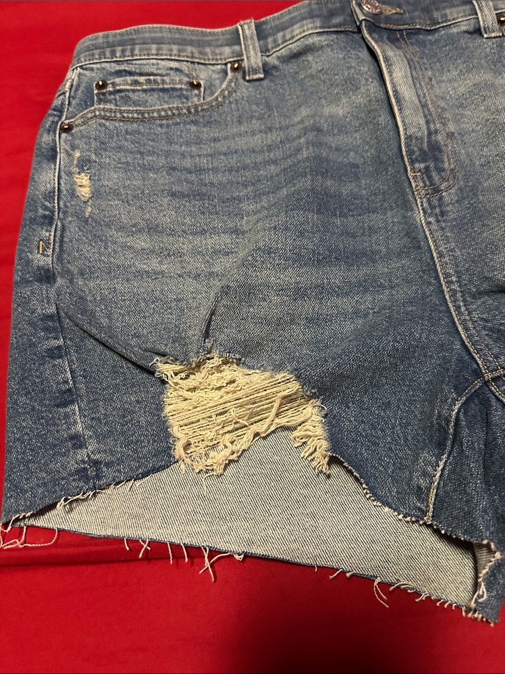 Torrid - Picture 2 of 5
